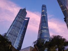 -小大董·烤鸭(观景餐厅·南京西路店)