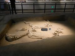 -洛阳周王城天子驾六博物馆