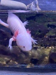 -Zoolung Zoolung动物主题公园(海信广场店)