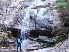 -王顺山国家森林公园