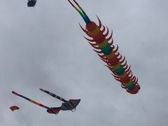 -巨鹏飞梦幻海岸