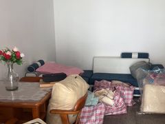 -蚂蚁搬家成都打包搬运公司