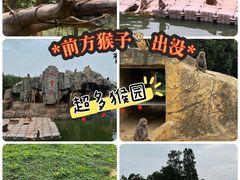 -东莞香市动物园