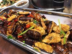 干炸蝉蛹-那家老院子东北菜·饺子·小鸡炖蘑菇(艳华街店)