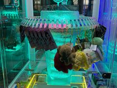 -星河湾温泉洗浴酒店