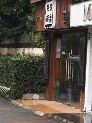 -格调形象