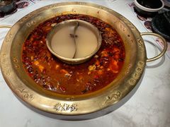 -哥老官重庆美蛙鱼头(虹口龙之梦店)