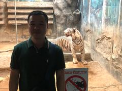 -清迈夜间动物园