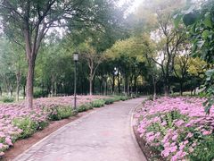 -大兴滨河森林公园