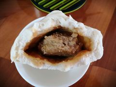 大肉包-白玉兰食品(甜云店)