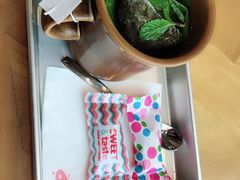 -WHEN PIGS FLY当猪飞