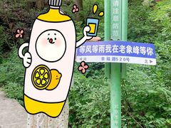 -老象峰