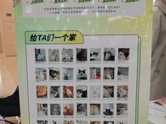 -凯德MALL(望京店)