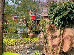 -青城甲(青城山店)