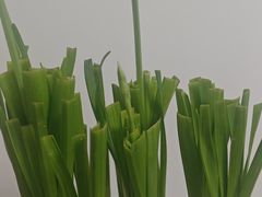 -盒马鲜生(红莲店)