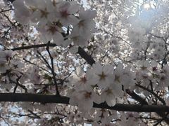 -苏州上方山国家森林公园