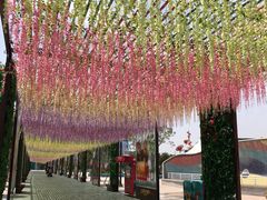 -厦门方特梦幻王国