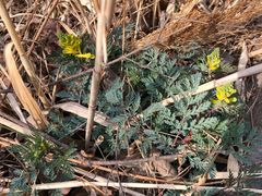 -碓臼峪自然风景区