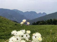 -灵山
