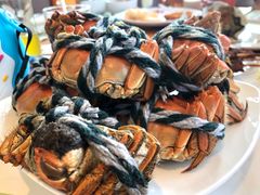 -视界美食自助餐厅·石家庄希尔顿酒店