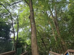 -忠山公园