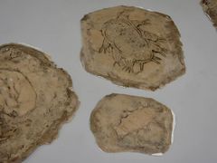 -大田秀则画廊
