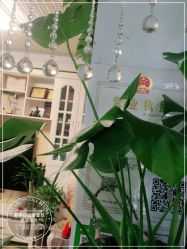 -美甲日记美睫专业纹绣半永久