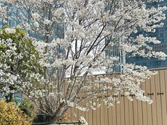 -独一道·邵伯龙虾土菜馆·烧烤(雨花西路店)