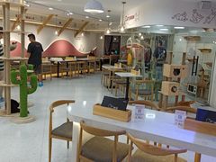 大堂-喵园·猫主题咖啡厅·撸猫·猫咖(国贸店)