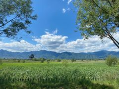 -野鸭湖国家湿地公园