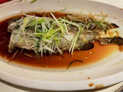 蒸鱼-金陵大饭店·金海湾咖啡厅海鲜自助餐(春华大道店)