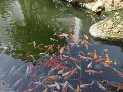 -番禺宾馆丽苑厅