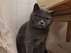 -春笙食堂.丼饭拉面寿司(GOGO新天地店)