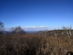 -凤凰山国家森林公园