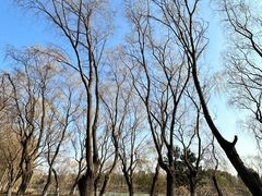 -苏州太湖国家湿地公园