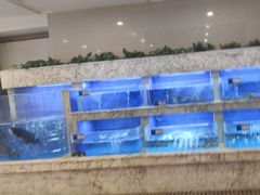 -香山湖渔家大院