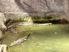 -南京汤山紫清湖生态旅游温泉度假区