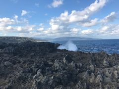 -龙坑生态保护区