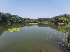-天生桥景区