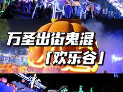 -上海欢乐谷