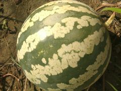 -南戴河国际娱乐中心