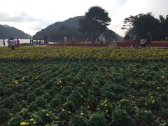 -广州市石门国家森林公园