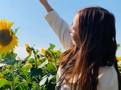 -映月湖中央公园