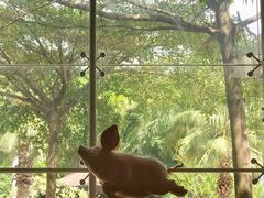 -佰园全日西餐厅-厦门佰翔软件园酒店