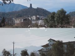 -老号尤兔头(幸福店)