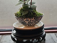 -面辣子·陕西家乡菜(钟楼店)
