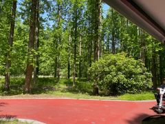 -黄海国家森林公园