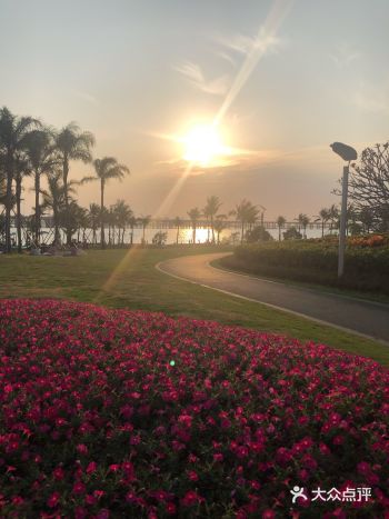 放风筝的。夕阳下的沿江高速