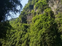 -阿依河景区
