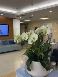 -杭州贝瑞斯美华妇儿医院·早孕·产检·儿科